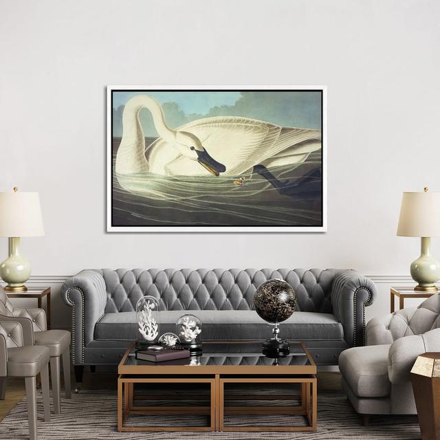 Trumpeter Swan II by John Audubon - Painting on Canvas Ebern Designs Size: 101.6cm H x 152.4cm W x 3.81cm D, Format: White Framed on Productcaster.