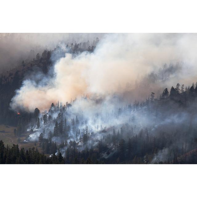 Arnfred Arnfred Forest Fire by Willard - Print Alpen Home Size: 81cm H x 122cm W x 3.8cm D on Productcaster.