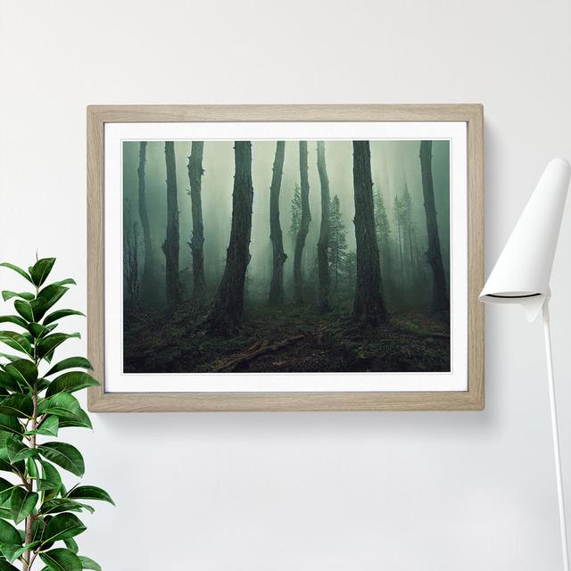 Forest Mist Vol.3 - Picture Frame Painting Alpen Home Size: 34cm H x 46cm W x 2cm D, Frame Colour: Oak on Productcaster.