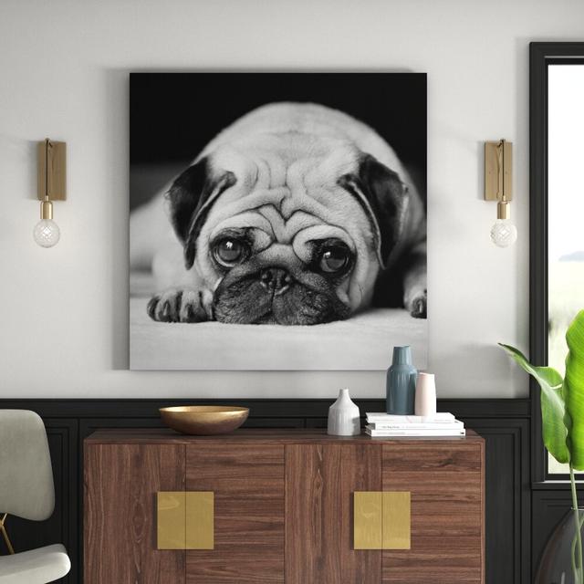 Pug Loves You II - Wrapped Canvas Graphic Art Print East Urban Home Size: 80 L x 80 W x 2 D on Productcaster.