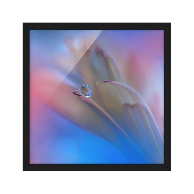 Touch Me Softly - Picture Frame Graphic Art Ebern Designs Frame Option: Black Framed, Size: 30cm H x 30cm W x 2cm D on Productcaster.