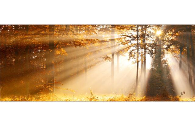 Mystic Light III - No Frame Panoramic Art Prints on Float Glass Union Rustic Size: 50cm H x 125cm W x 1.4cm D on Productcaster.