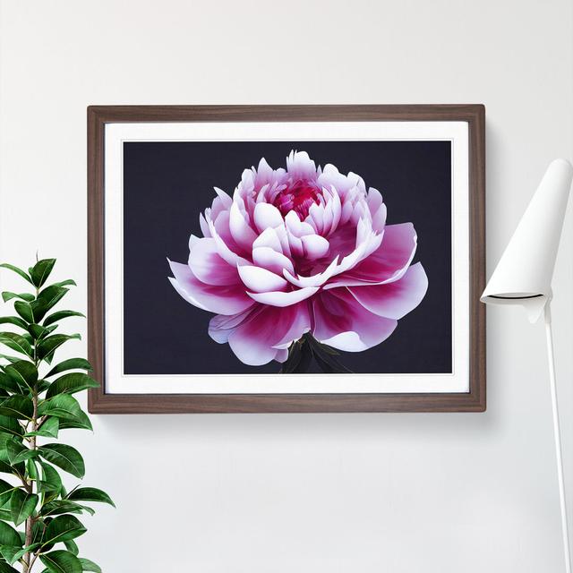 Delightful Peony Flower - Picture Frame Painting 17 Stories Size: 34cm H x 46cm W x 2cm D, Frame Colour: Walnut on Productcaster.