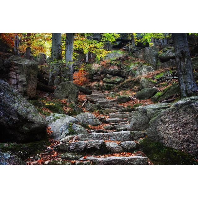 Mountain Forest by Artur Bogacki - Wrapped Canvas Print Alpen Home Size: 61cm H x 91cm W on Productcaster.