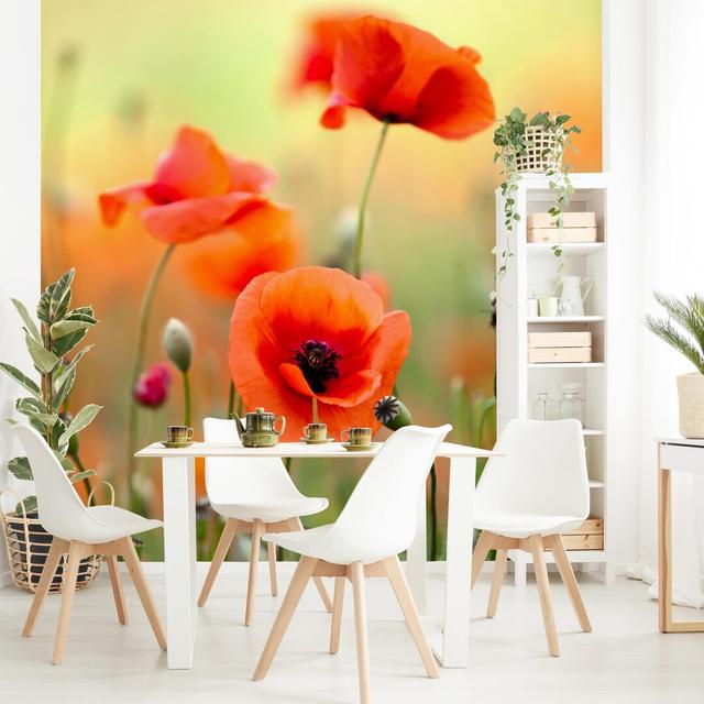 Strukturierte Fototapete Red Summer Poppy 1,92 m x 192 cm East Urban Home Größe: 2,4 m x 240 cm on Productcaster.