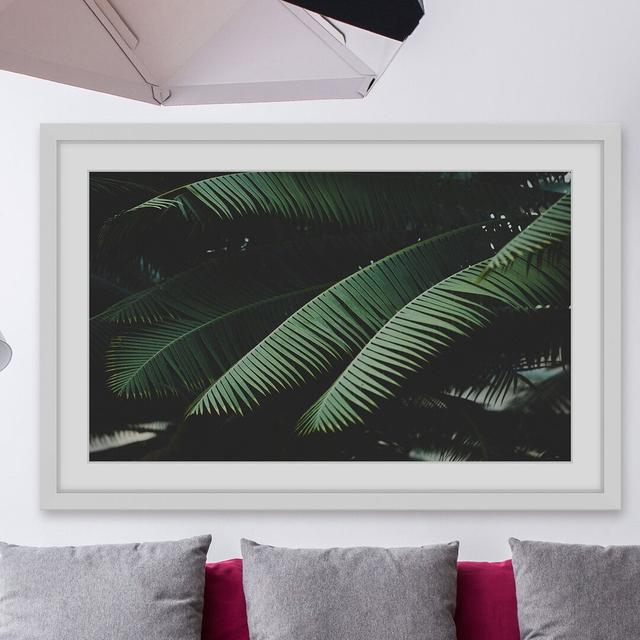 'Night in the Tropics' by Ann Barnes Framed Photographic Print East Urban Home Size: 41cm H x 61cm W x 3.81cm D on Productcaster.