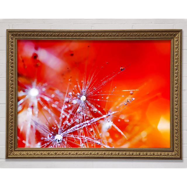 Fairy Lights - Single Picture Frame Art Prints Bright Star Size: 42cm H x 59.7cm W on Productcaster.