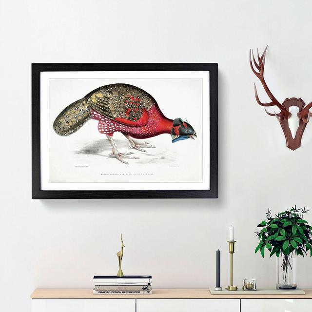 Bengal Horned Pheasant by John Edward Gray - Picture Frame Painting Print East Urban Home Frame Option: Black Framed, Size: 36cm H x 48cm W x 2cm D on Productcaster.