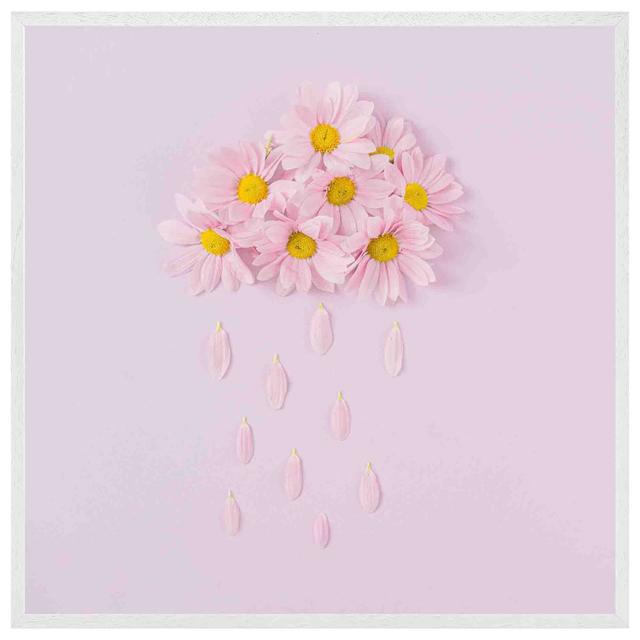 Edgeley Raining Daisy Cloud - Single Picture Frame Print Latitude Run Size: 76cm H x 76cm W x 4cm D, Frame Colour: White on Productcaster.