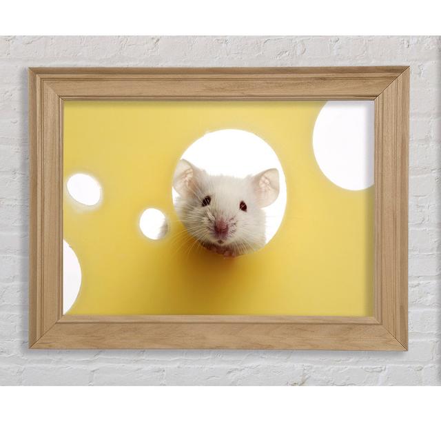 Cheesy Mouse - Print Bright Star Size: 100cm H x 141.4cm W x 8cm D on Productcaster.