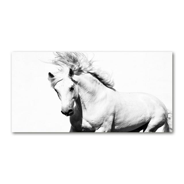 Horse 50cm x 100cm Glass Panel Gracie Oaks on Productcaster.