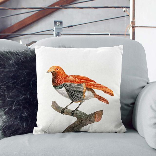 A King Bird of Paradise by Jacques Barraband Cushion with Filling East Urban Home Size: 40 x 40 cm, Backing Colour: Black on Productcaster.