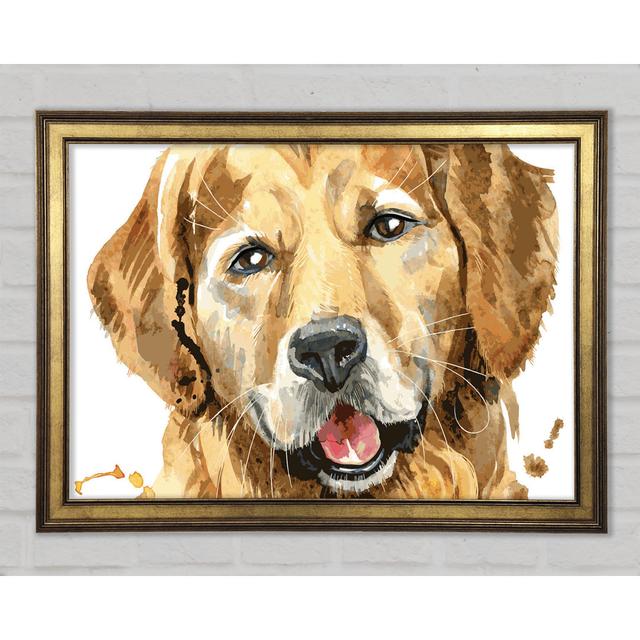 Labrador Happiness - Single Picture Frame Art Prints ClassicLiving Size: 29.1cm H x 42cm W x 1.5cm D on Productcaster.