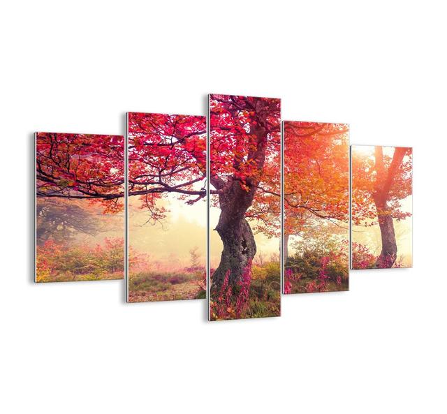 5 Piece Unframed Photograph Print Set on Glass Ebern Designs Size: 100cm H x 150cm W x 1.8cm D on Productcaster.