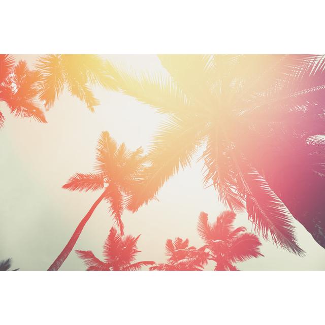 Sunset In Tropics. Coconut Trees And Turquoise Sea by Andrey Danilovich - Print 17 Stories Size: 81cm H x 122cm W on Productcaster.