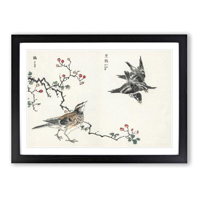 Thrush Birds by Numata Kashu - Picture Frame Painting Print East Urban Home Frame Option: Black, Size: 60cm H x 91cm W x 2cm D on Productcaster.