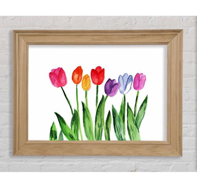 Tulip Rainbow - Single Picture Frame Art Prints Bright Star Size: 29.7cm H x 42cm W x 8cm D on Productcaster.