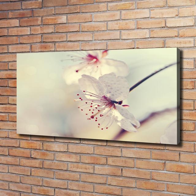 Cherry Blossom - Wrapped Canvas Art Prints Brayden Studio on Productcaster.