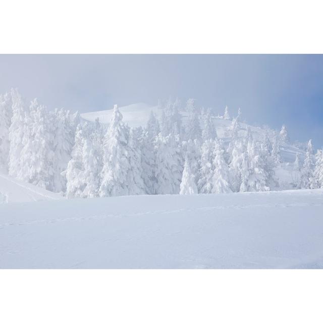 Snowstorm In The Mountains by LucynaKoch - Wrapped Canvas Print Alpen Home Size: 30cm H x 46cm W on Productcaster.