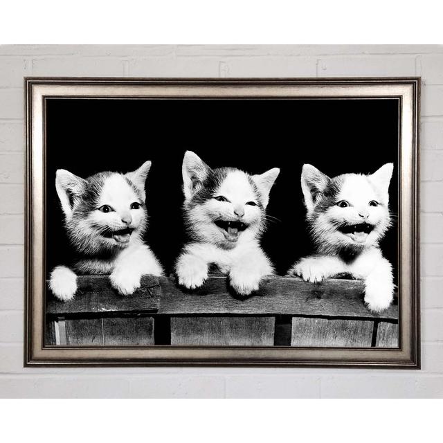 Laughing Kittens Framed Print Brayden Studio Size: 59.7cm H x 84.1cm W on Productcaster.