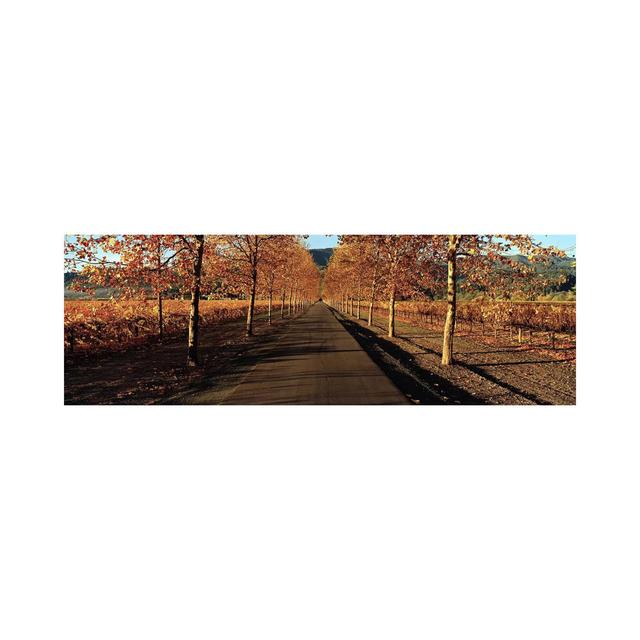 Autumn Vineyard Landscape, Beaulieu Vineyard, Rutherford AVA - Wrapped Canvas Panoramic Print Brayden Studio Size: 50.8cm H x 152.4cm W x 1.905cm D on Productcaster.