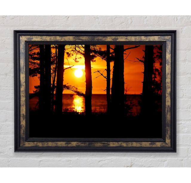 Orange Sunset Through The Trees - Single Picture Frame Art Prints Bright Star Size: 42cm H x 59.7cm W x 8cm D on Productcaster.