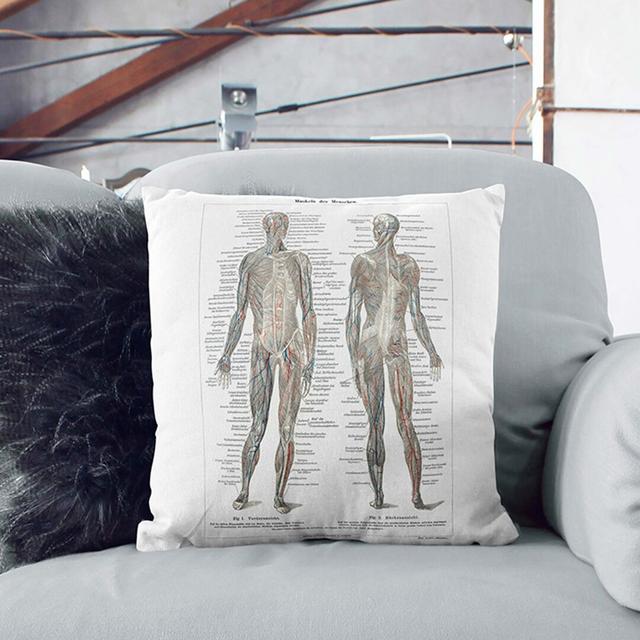 Human Anatomy in German Cushion with Filling East Urban Home Backing Colour: Black, Size: 40cm H x 40cm W x 15cm D on Productcaster.