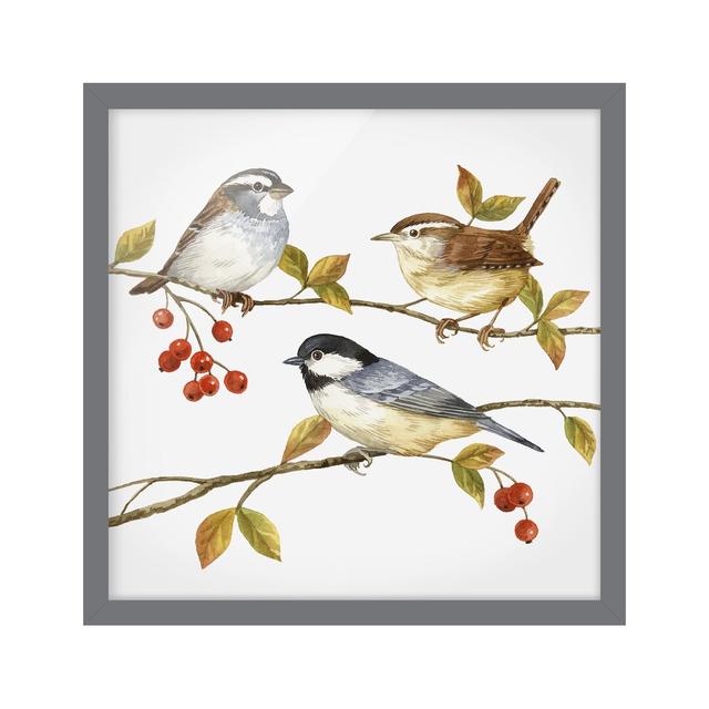 Birds and Berries - Tits - Picture Frame Painting Rosalind Wheeler Frame Option: Grey Framed, Size: 30cm H x 30cm W x 2cm D on Productcaster.