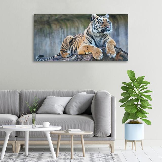 Tiger - Kunstdrucke auf Segeltuch ModernMoments on Productcaster.