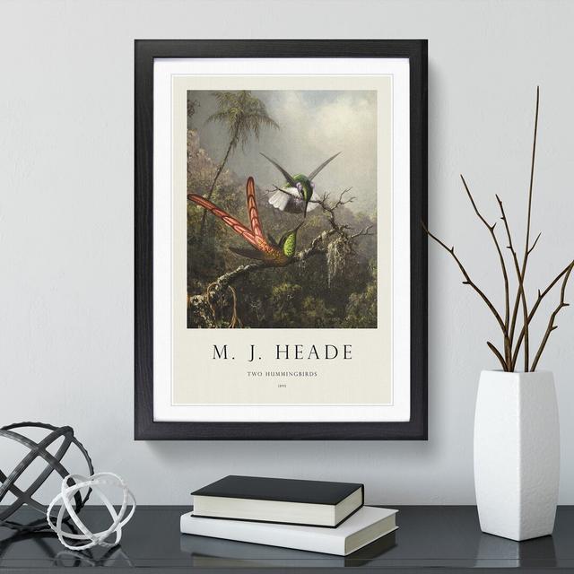 Two Hummingbirds by Martin Johnson Heade - Picture Frame Art Prints East Urban Home Frame Option: Black, Size: 65cm H x 48cm W x 2cm D on Productcaster.