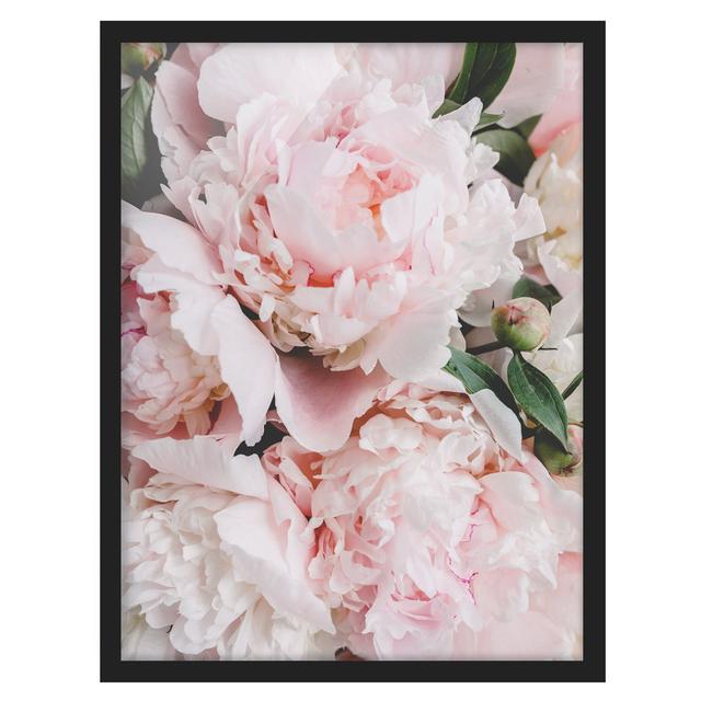 Peonies Light Pink - Picture Frame Photograph Canora Grey Size: 100cm H x 70cm W x 2cm D, Frame Option: Black Framed on Productcaster.