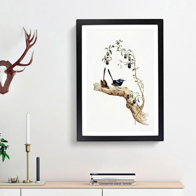 Long-Tailed Wrens by Elizabeth Gould - Picture Frame Painting Print East Urban Home Frame Option: Black Framed, Size: 36cm H x 27cm W x 2cm D on Productcaster.