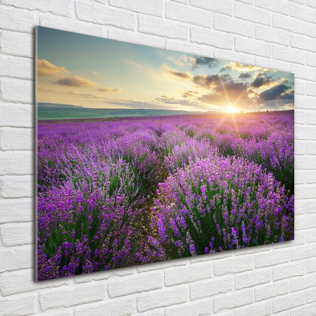 Glasbild Lavender Field Ebern Designs on Productcaster.