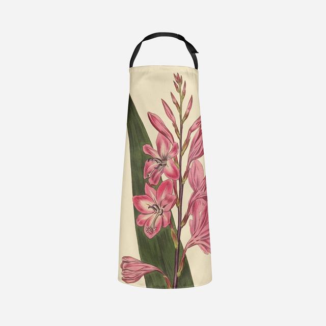 Gladiouls - Botanical Aprons We Love Cushions on Productcaster.