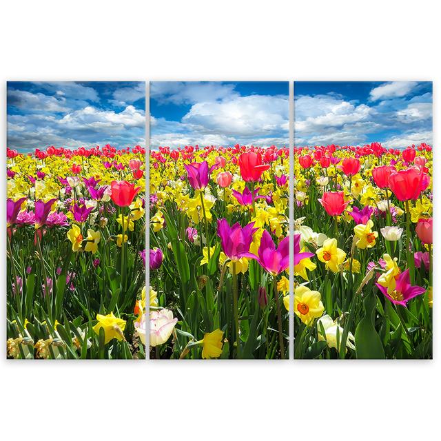 Canvas Print Colourful Flowers Meadow Ebern Designs Size: 60cm H x 120cm W on Productcaster.