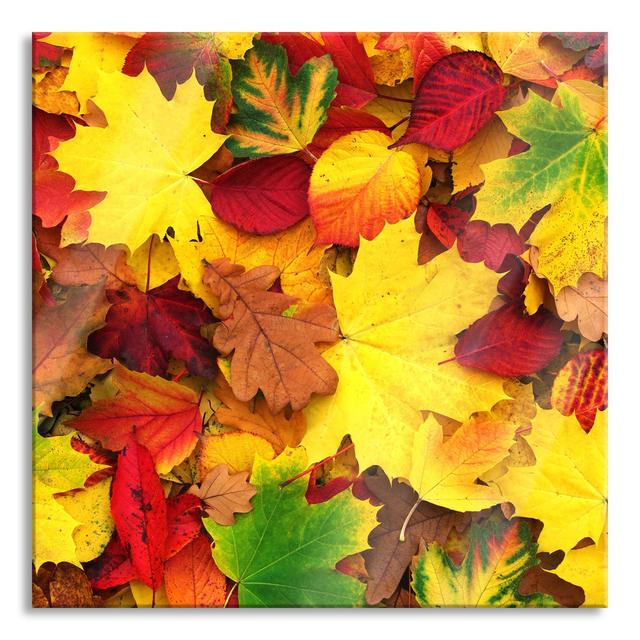 Autumn Leaves - No Frame Print on Glass Brayden Studio Size: 60cm H x 60cm W x 0.4cm D on Productcaster.