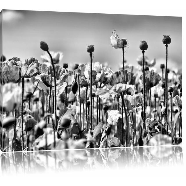 Leinwandbild Blumenwiese Mohnblumen in Monochrom East Urban Home Größe: 70 cm H x 100 cm B on Productcaster.