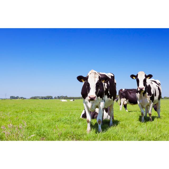 Cows In A Fresh Grassy Field by Sara_winter - No Frame Art Prints on Canvas Brambly Cottage Size: 30cm H x 46cm W on Productcaster.