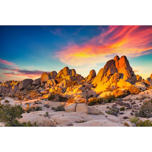 Rocks In Joshua Tree National Park Union Rustic Size: 20cm H x 30cm W x 3.8cm D on Productcaster.