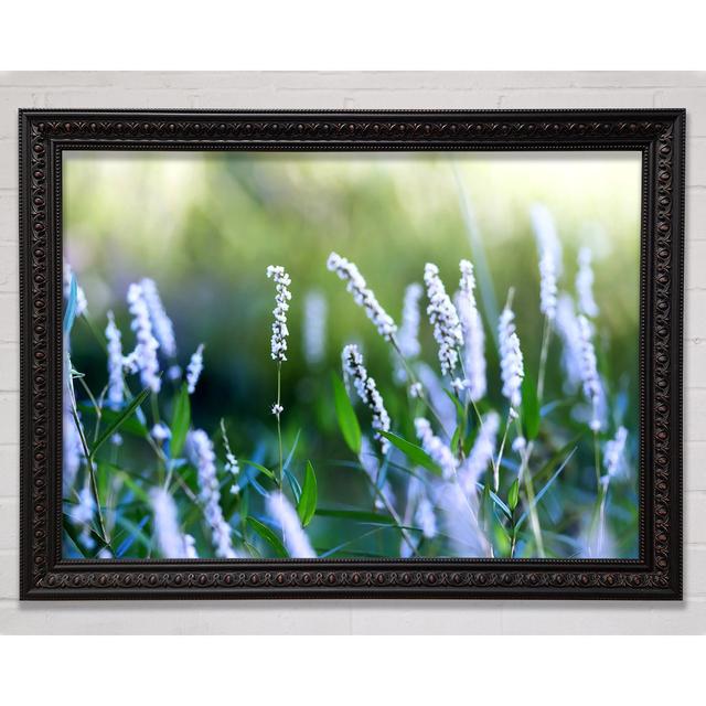 Blue Field Flowers Framed Print Bright Star Size: 29.7cm H x 42cm W on Productcaster.