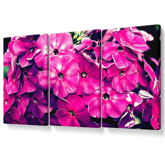 Fiore - 3 Piece Wrapped Canvas Graphic Art Ebern Designs Size: 101.6cm H x 203cm W on Productcaster.