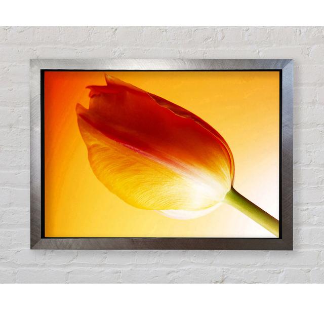 Gerahmtes Leinwandbild Yellow On Yellow Tulip 17 Stories Größe: 42 cm H x 59,7 cm B x 3,4 cm T, Format: Poster mit silberfarbenem Rahmen on Productcaster.