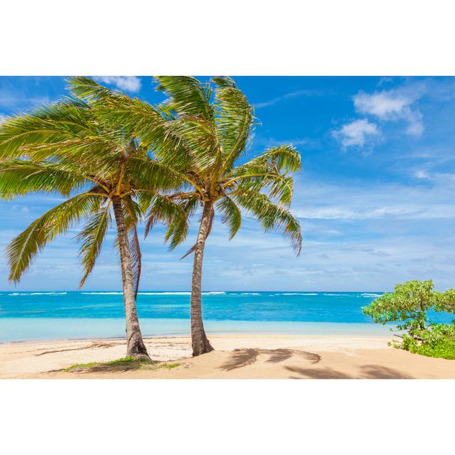 Tropical Beach by Dszc - No Frame Art Prints on Canvas House of Hampton Size: 60cm H x 90cm W on Productcaster.