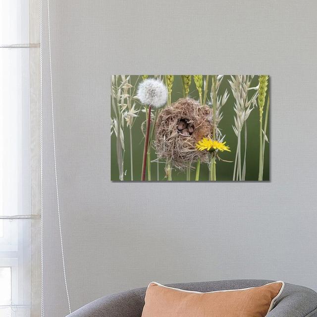 Three Not So Blind Mice by Dean Mason - Photograph Print on Canvas Ebern Designs Format: Wrapped Canvas, Size: 45.72cm H x 66.04cm W x 3.81cm D on Productcaster.