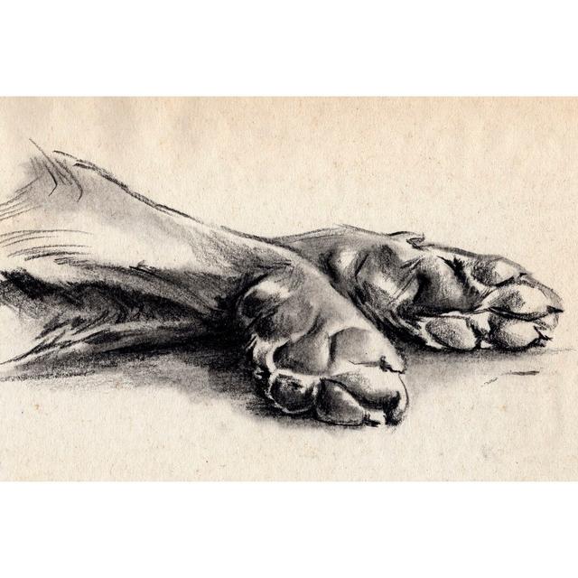 Charcoal Paws II - Print Rosalind Wheeler Size: 51cm H x 76cm W x 3.8cm D on Productcaster.