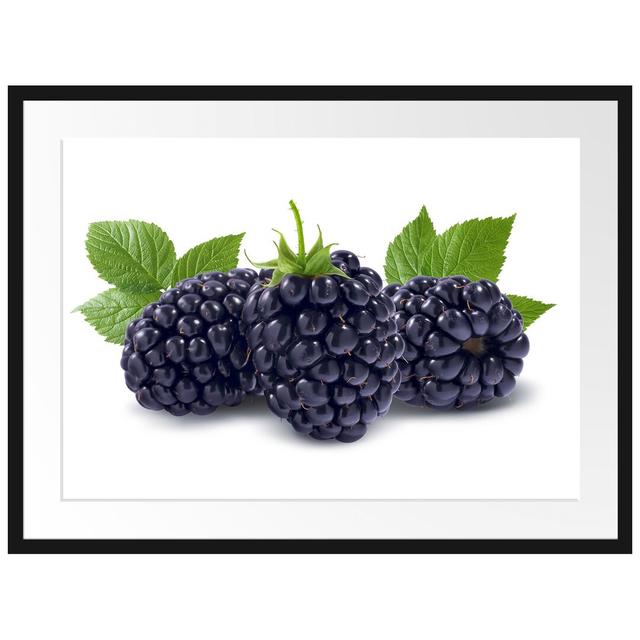 Gerahmtes Poster Leckere Brombeeren East Urban Home Größe: 60 cm H x 80 cm B on Productcaster.