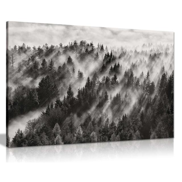 Sea Of Clouds Over Pine Trees - Wrapped Canvas Art Prints Panther Print Size: 31cm H x 46cm W on Productcaster.