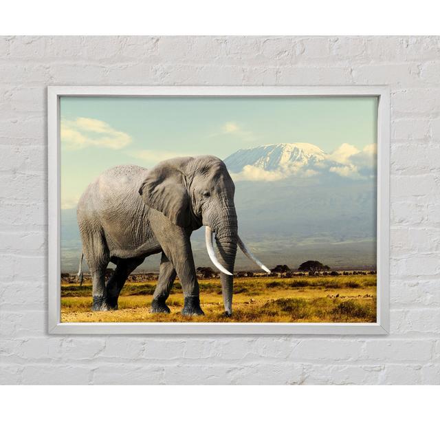 Elefant Roaming - Einzelner Bilderrahmen Kunstdrucke auf Leinwand Ebern Designs Größe: 59,7 cm H x 84,1 cm B x 3,3 cm T on Productcaster.