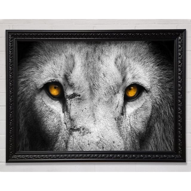 Lion Eyes Framed Print Bright Star Size: 100cm H x 141.4cm W on Productcaster.