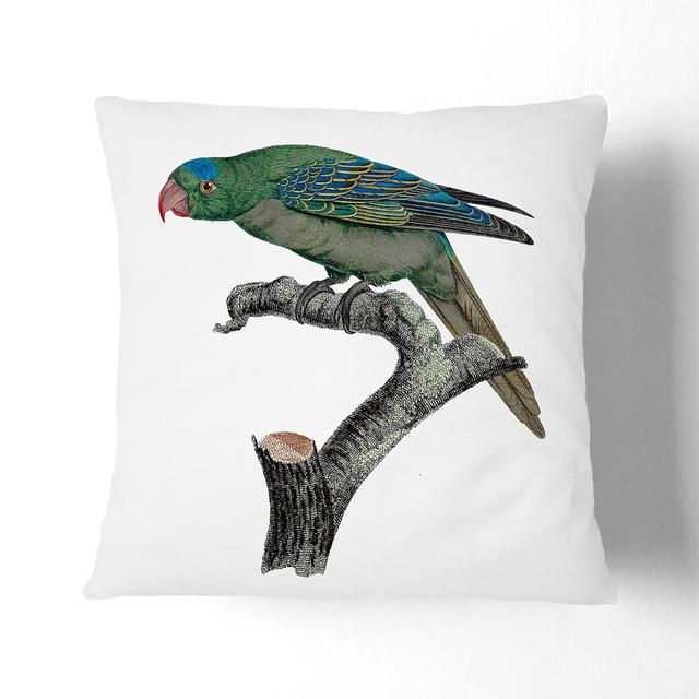 Blue-Naped Parrot by F. Levaillant Cushion with Filling East Urban Home Size: 55cm H x 55cm W x 20cm D, Backing Colour: Stone on Productcaster.